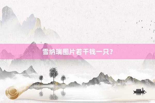 雪纳瑞图片若干钱一只？