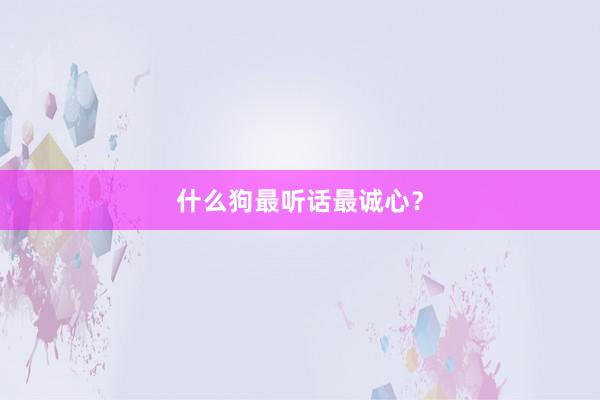 什么狗最听话最诚心？